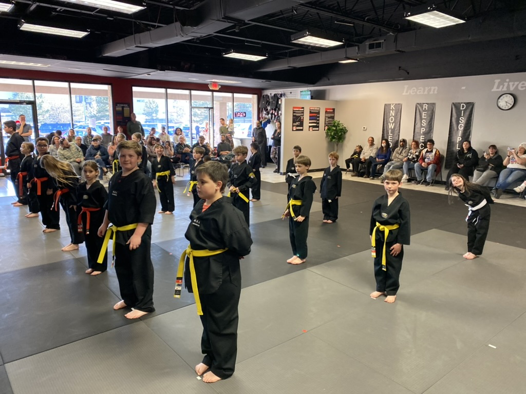 Excel Taekwondo training in Castle Rock, Colorado