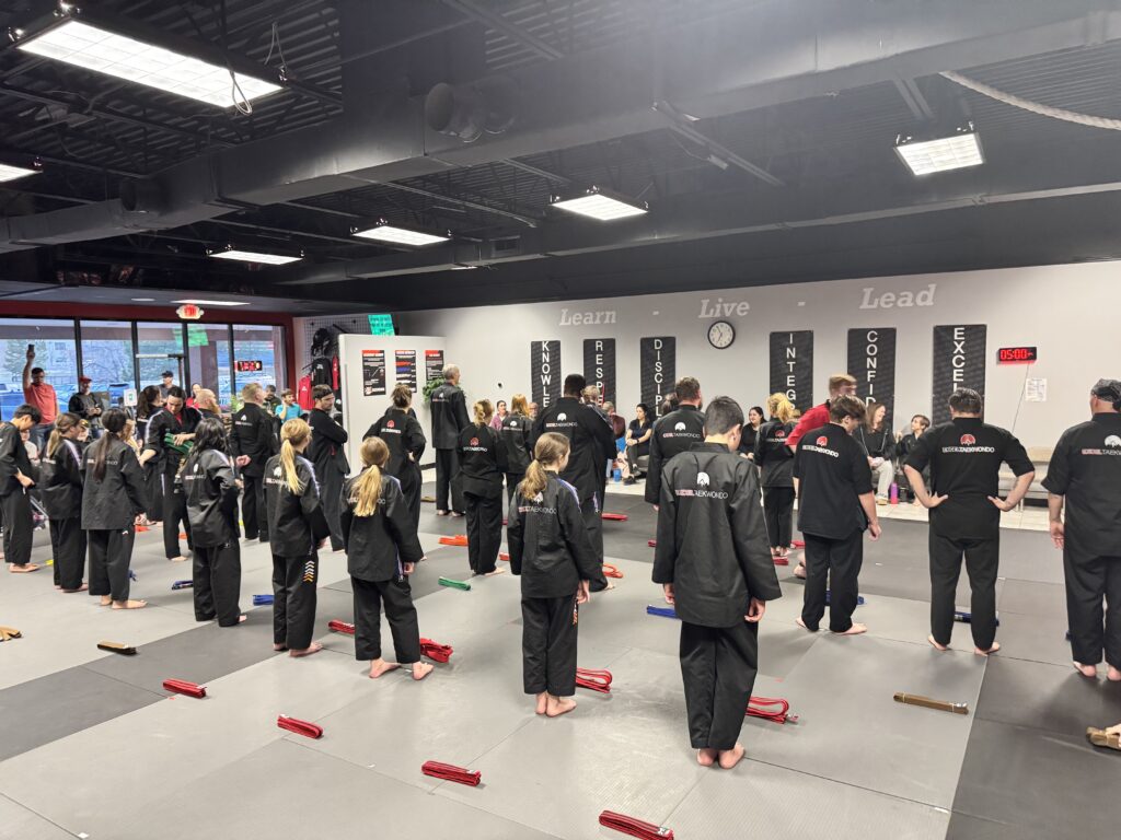 Excel Taekwondo training in Castle Rock, Colorado