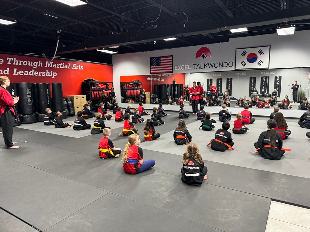 Martial Arts Birthday Parties at Excel Taekwondo in Castle Rock, Colorado